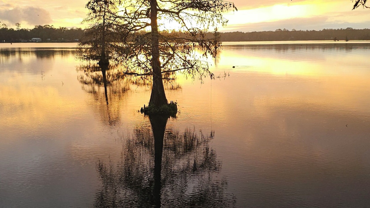 Photo of Others in Dry Creek