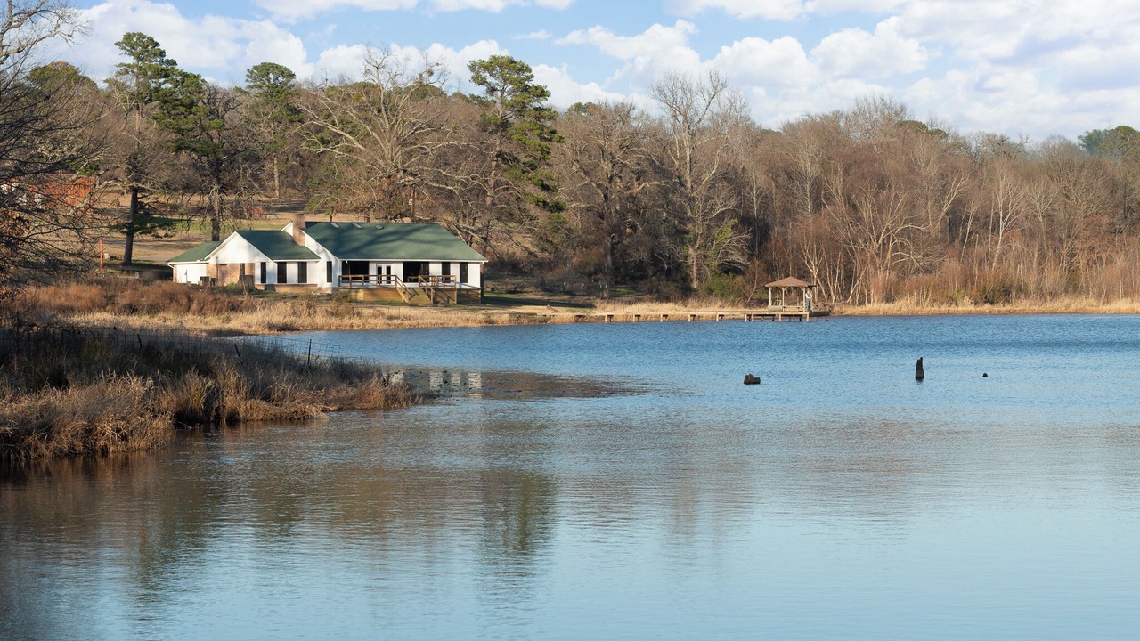 Photo of Others in Mineola