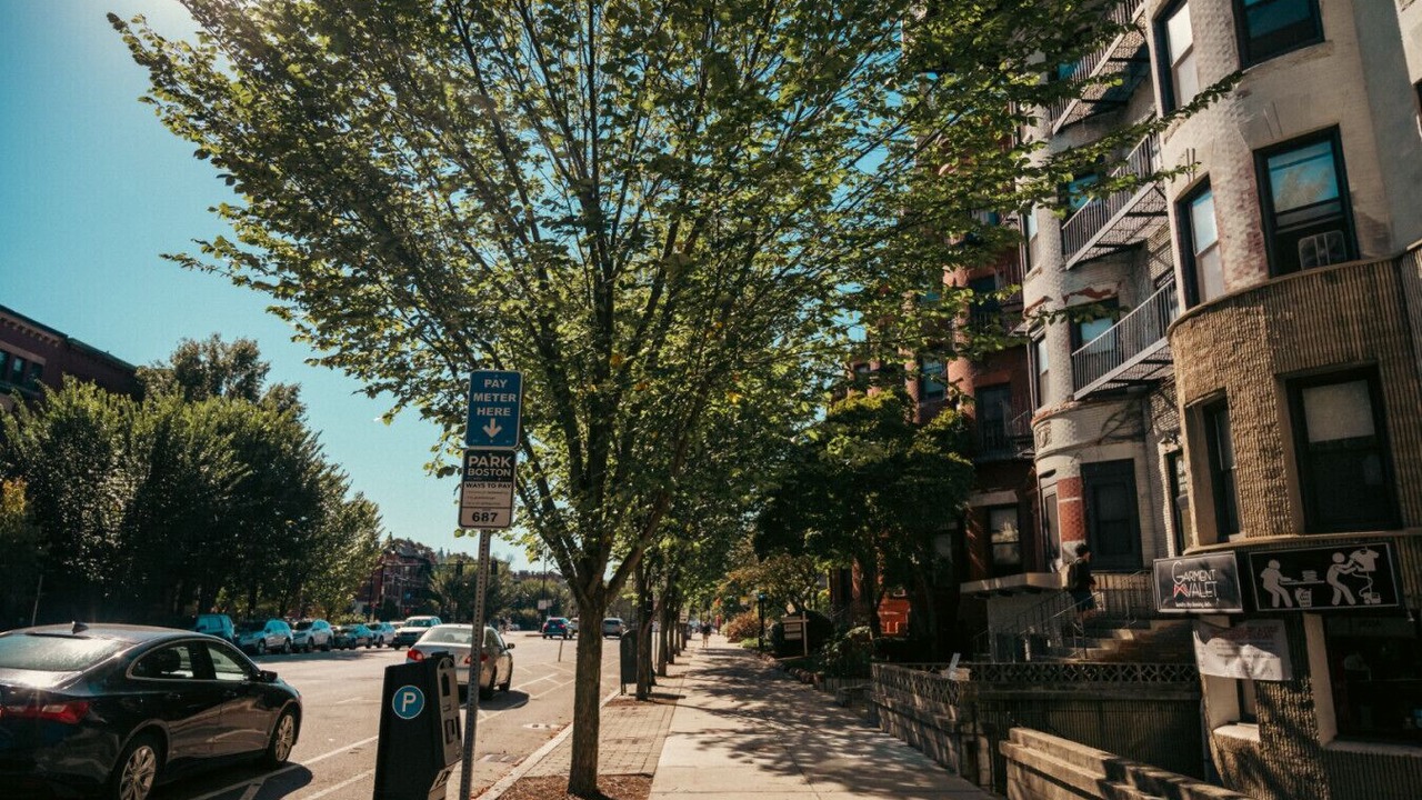 Photo of Others in Fenway–Kenmore