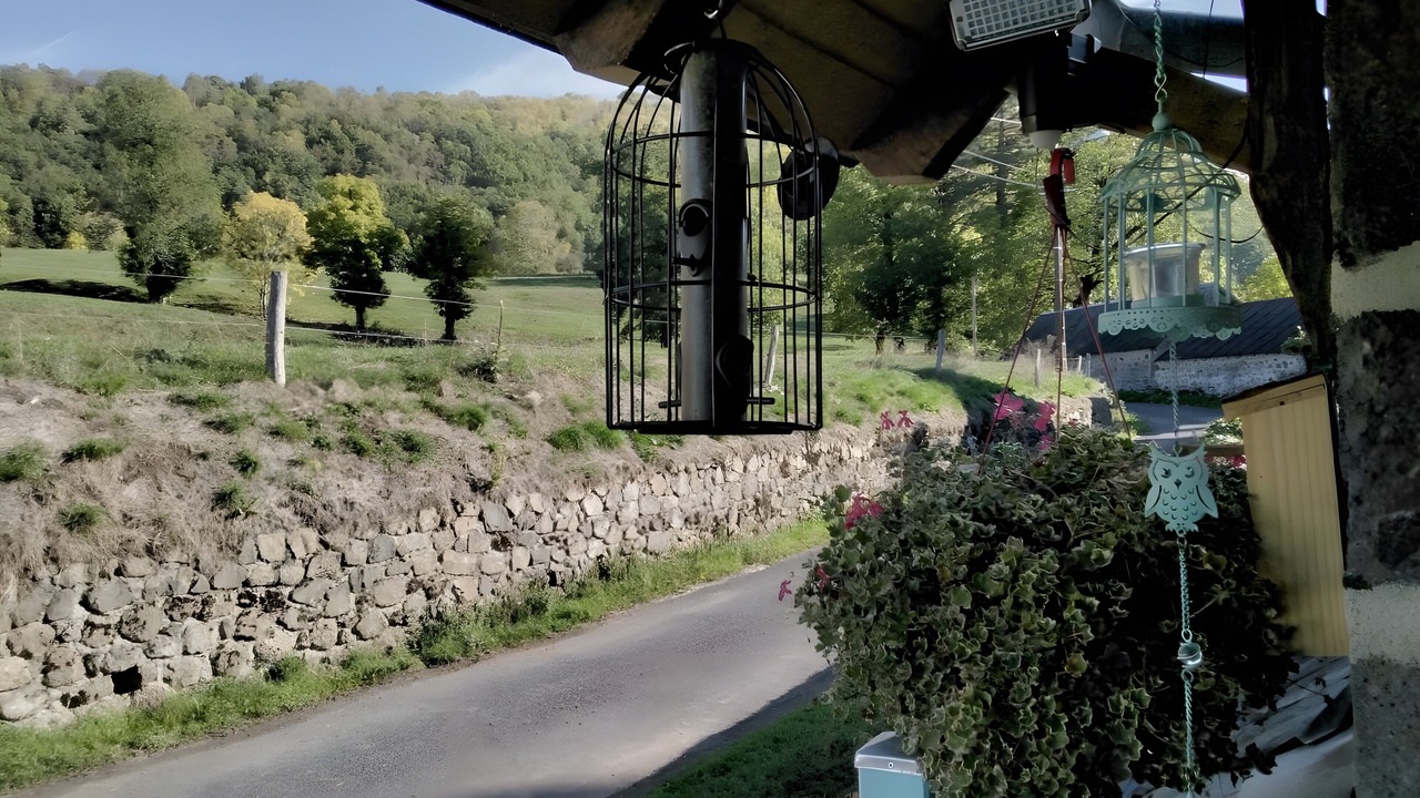 Photo of Outdoor in Saint-Cernin
