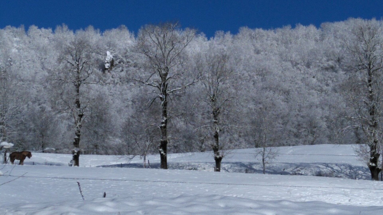 Photo of Others in Saint-Cernin