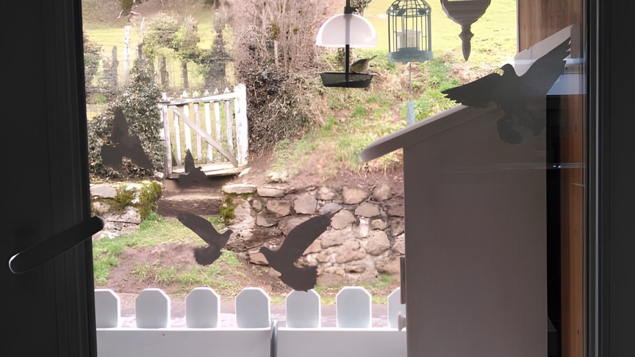 Photo of Others in Saint-Cernin