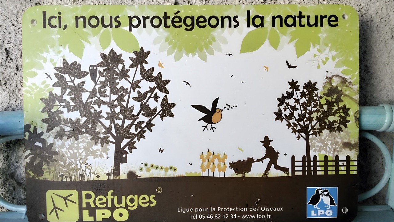 Photo of Others in Saint-Cernin