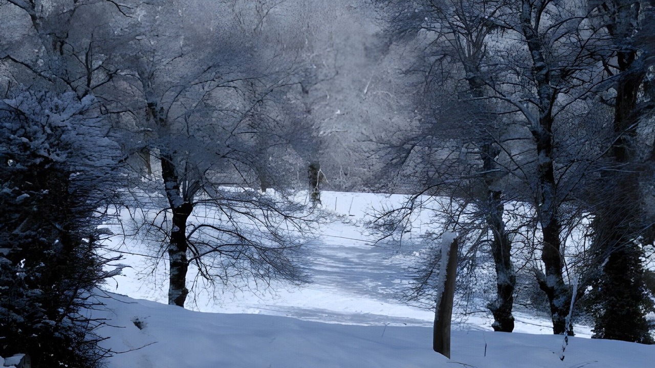 Photo of Outdoor in Saint-Cernin