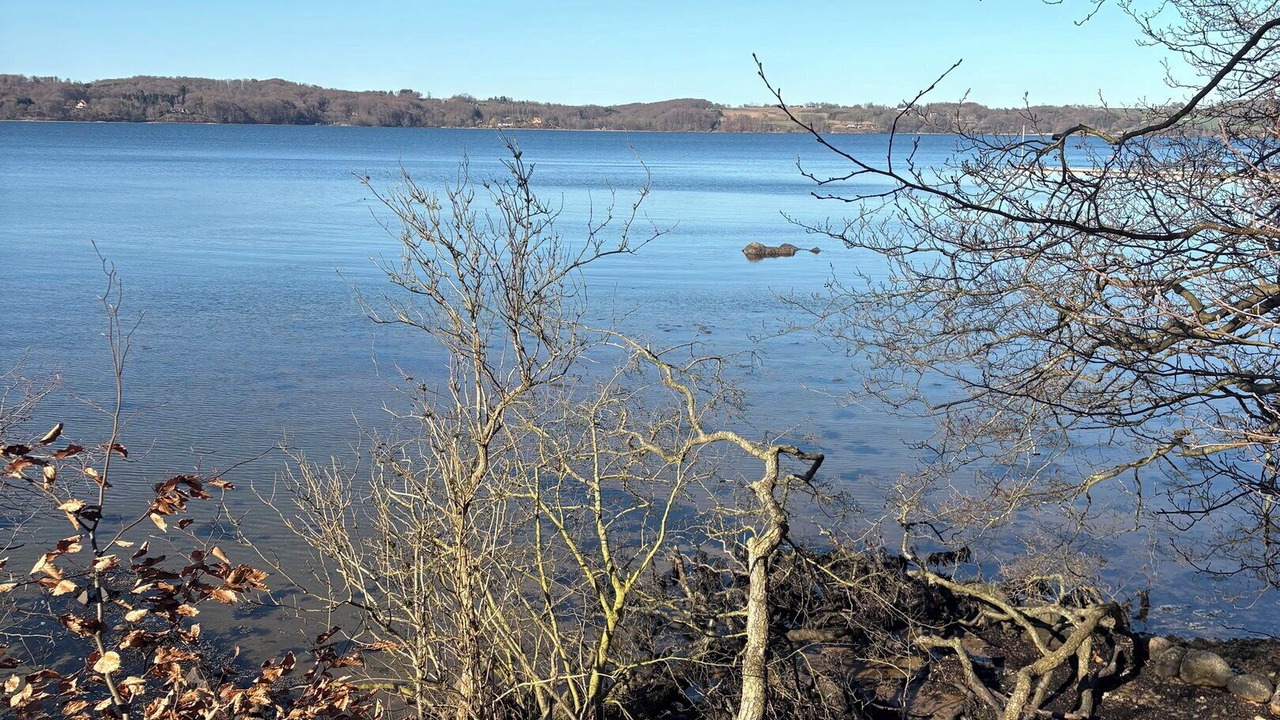 Photo of Others in Andkær Vig