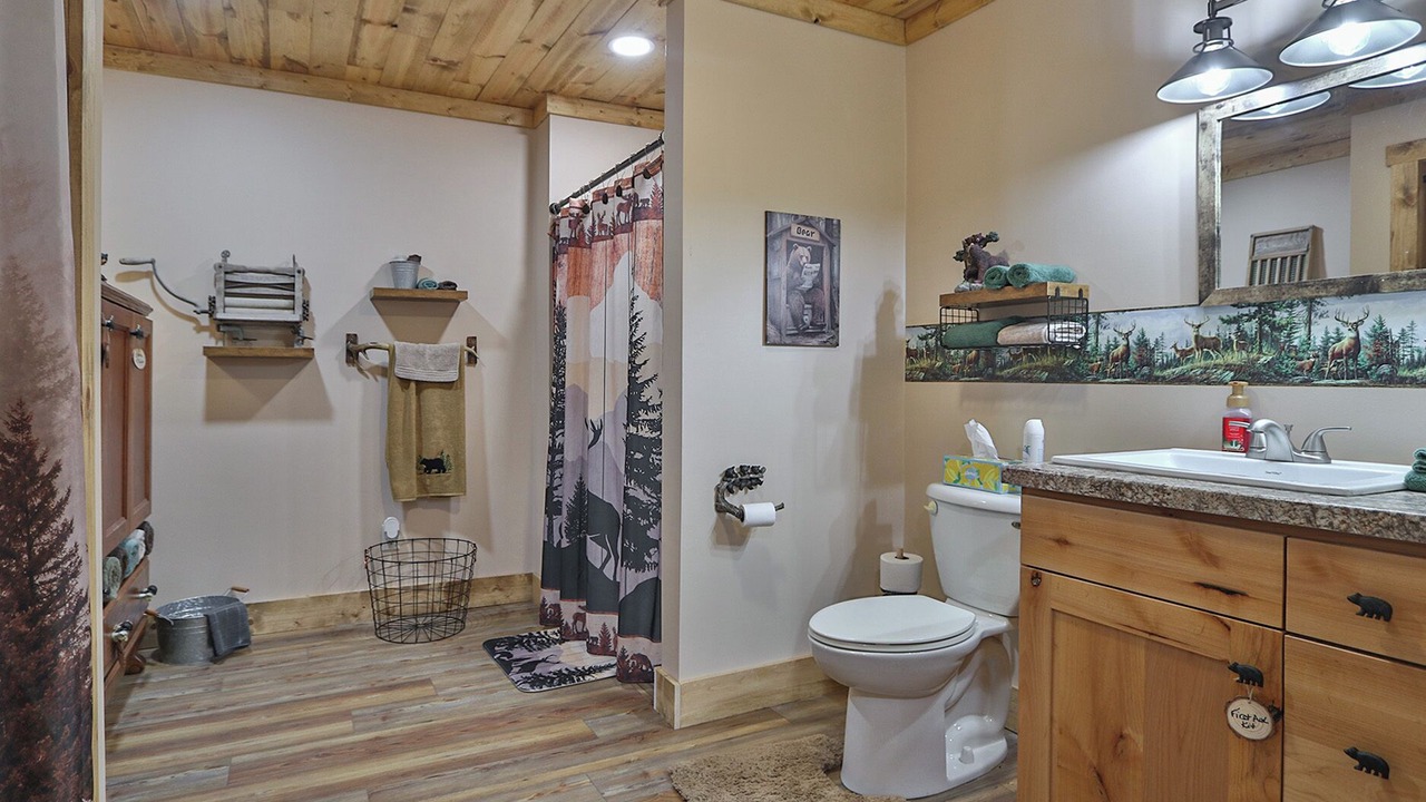 Photo of Bathroom in Johnson County