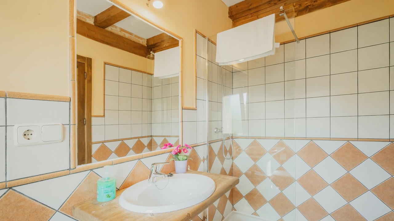Photo of Bathroom in Ayllon