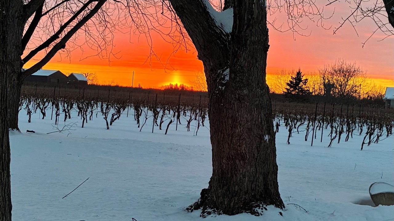 Photo of Others in Niagara-on-the-Lake