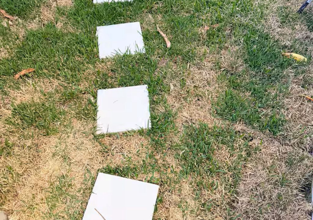 Photo of Outdoor in Homestead