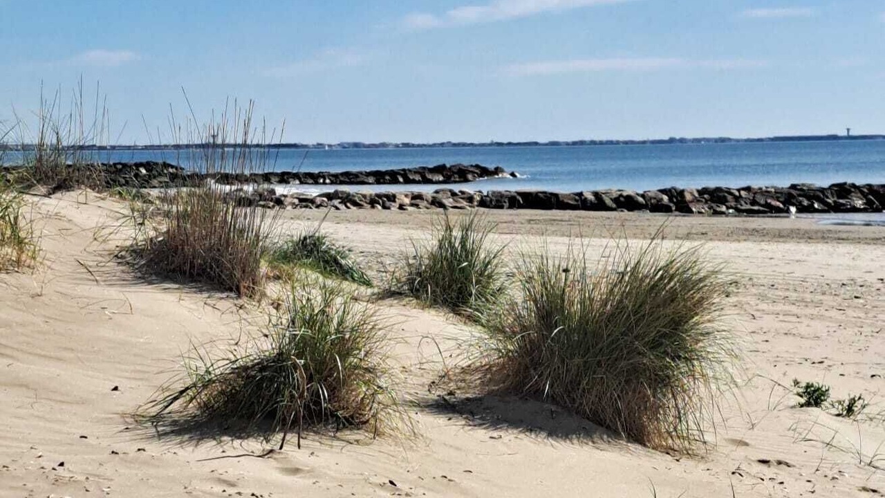 Photo of Others in Carnon-Plage