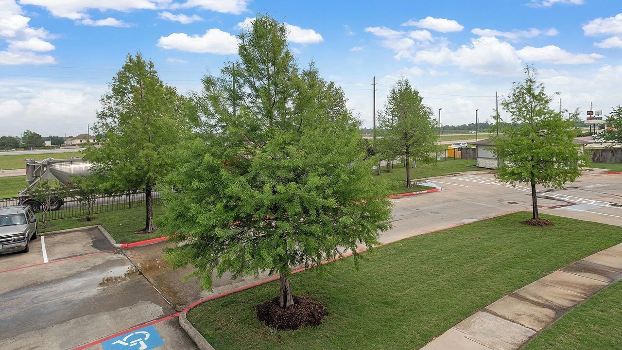 Photo of Outdoor in Northeast Houston