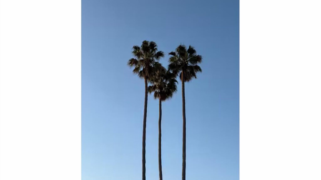 Photo of Others in East San Mateo
