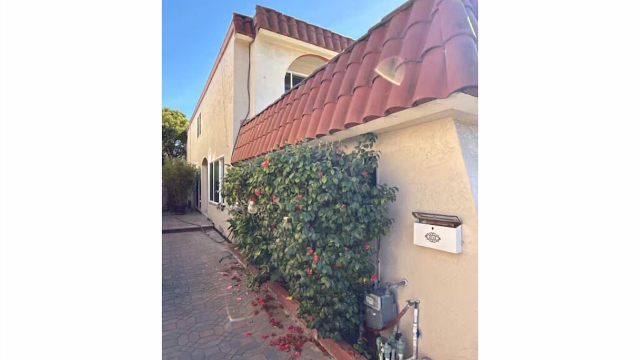 Photo of Outdoor in East San Mateo