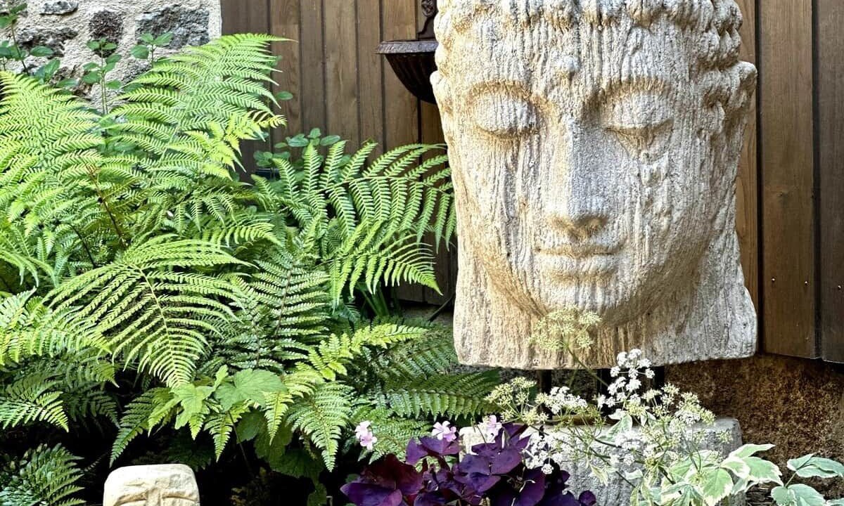 Photo of Outdoor in Combourg