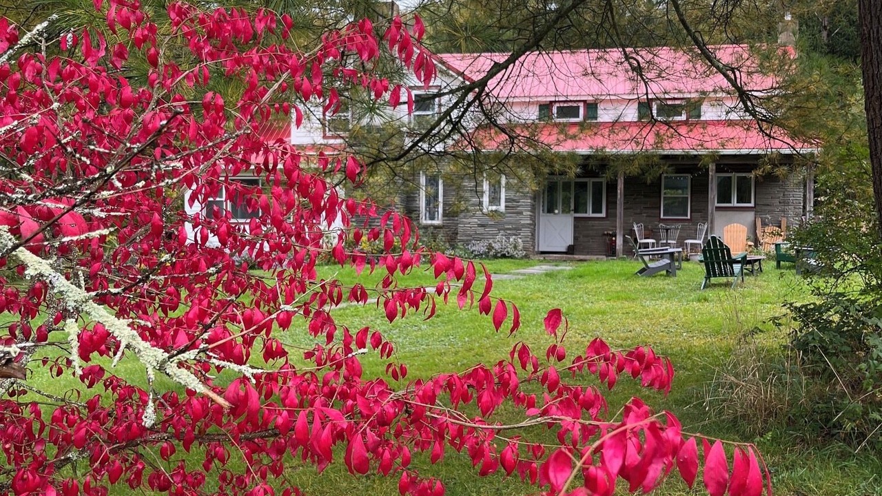 Photo of Outdoor in Long Eddy