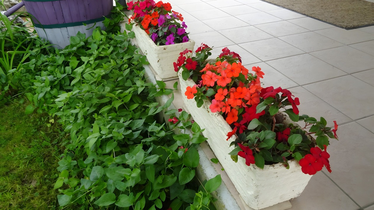 Photo of Outdoor in Maubec