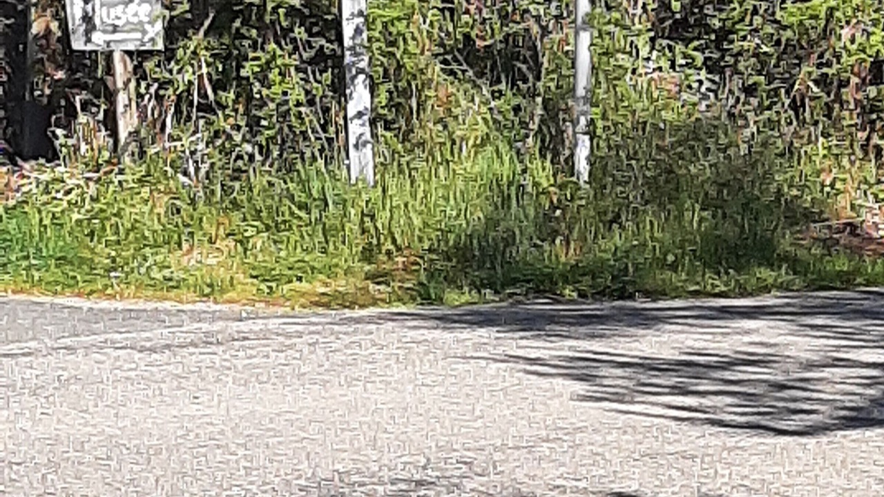 Photo of Others in Eguzon-Chantome