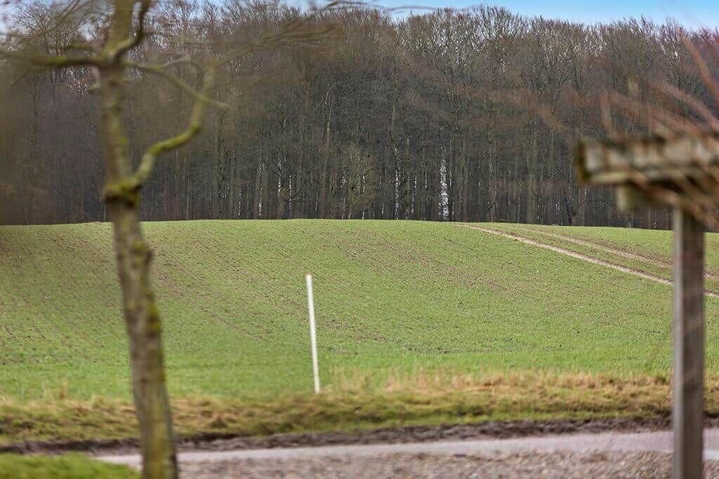 Photo of Others in Kettingskov