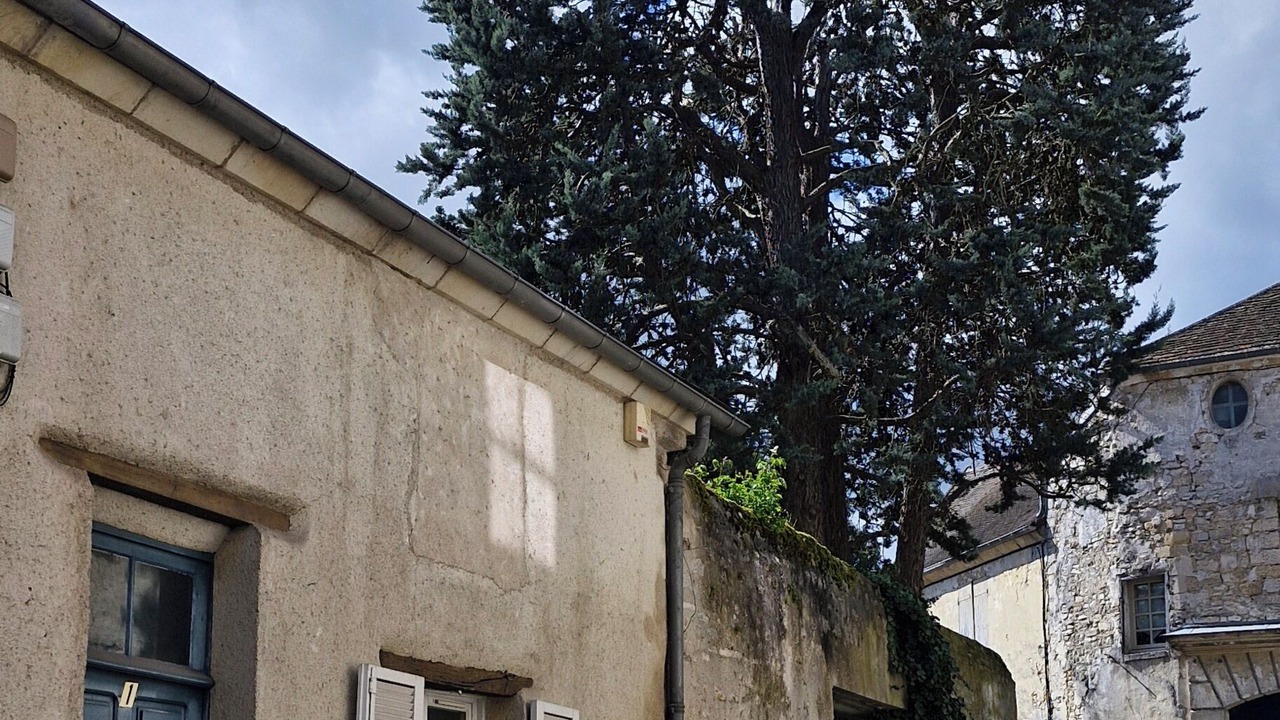 Photo of Outdoor in Senlis