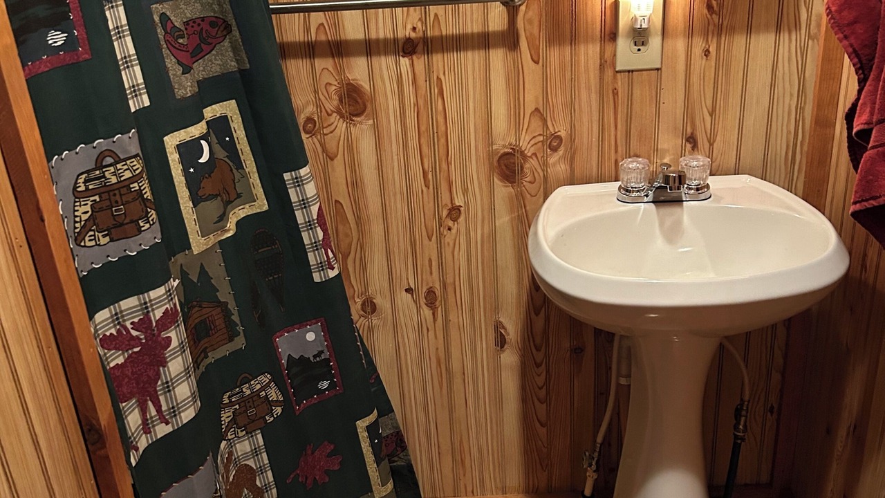 Photo of Bathroom in West Mineral