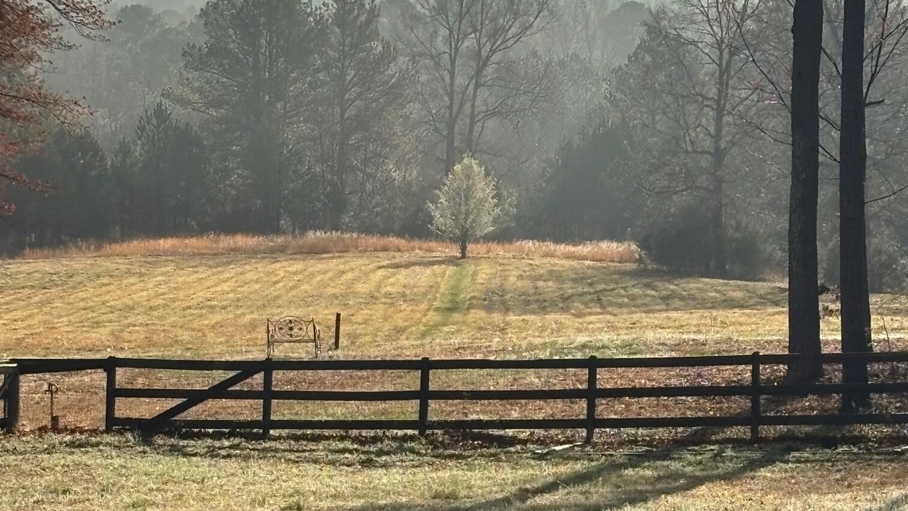 Photo of Outdoor in Durham