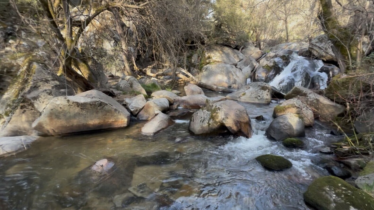 Photo of Others in Phoenix Lake-Cedar Ridge