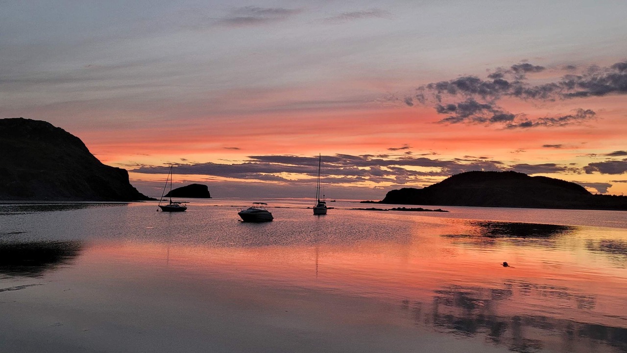 Photo of Others in Twillingate