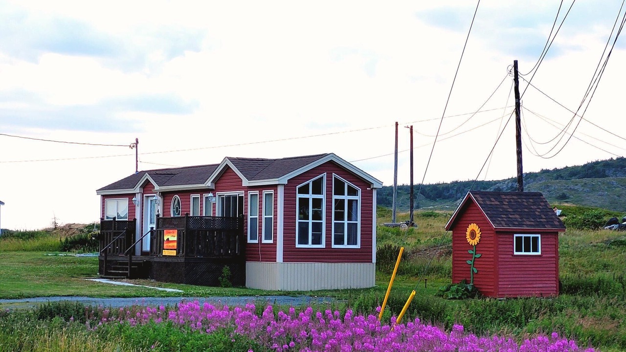 Photo of Others in Twillingate