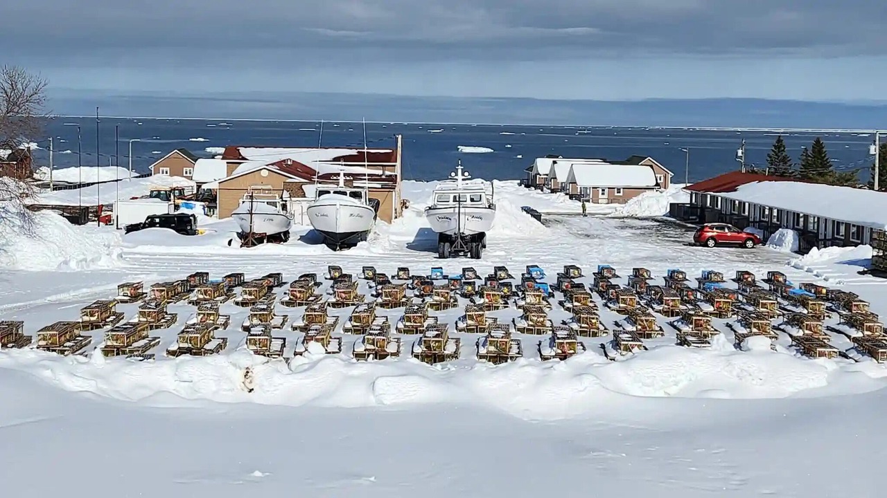Photo of Outdoor in Petit-Rocher