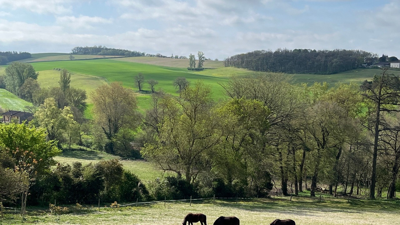 Photo of Others in Varennes
