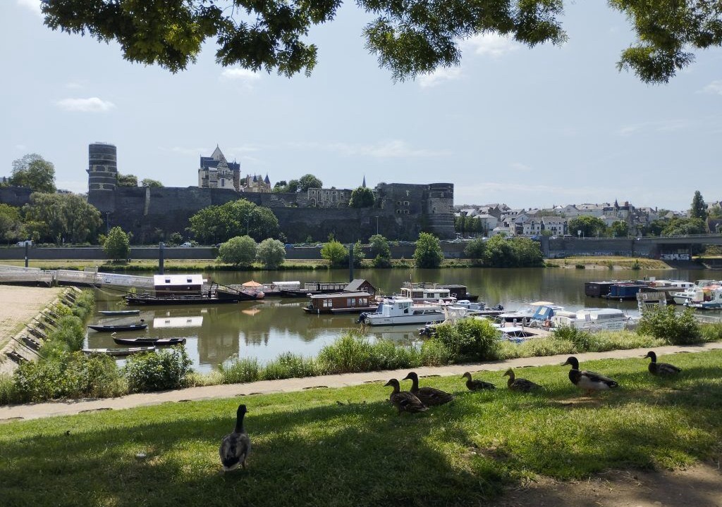 Photo of Others in Downtown Angers