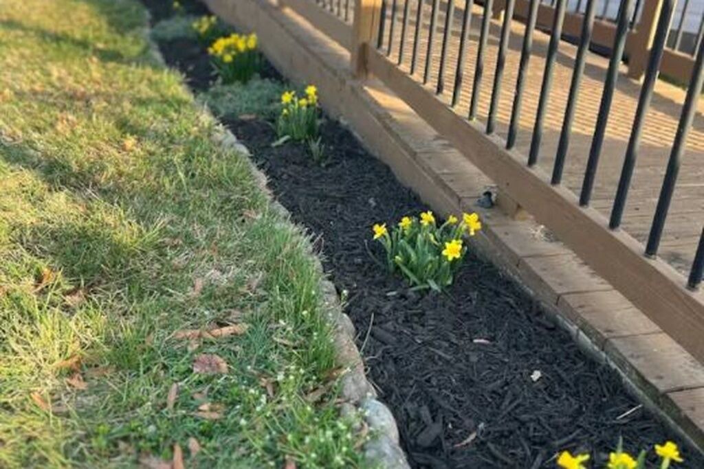 Photo of Outdoor in Fredericksburg