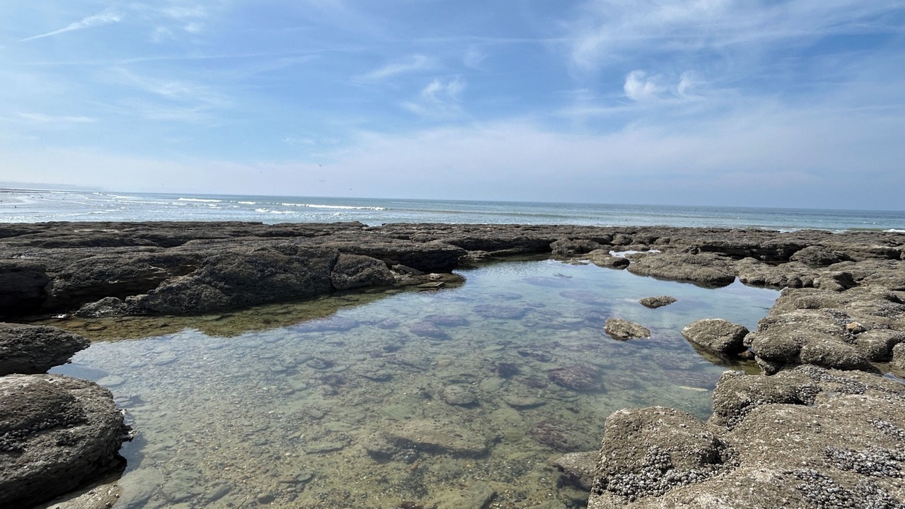 Photo of Others in Audresselles