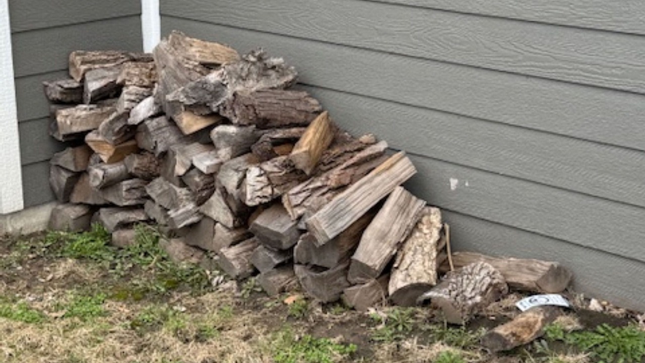 Photo of Outdoor in Seymour