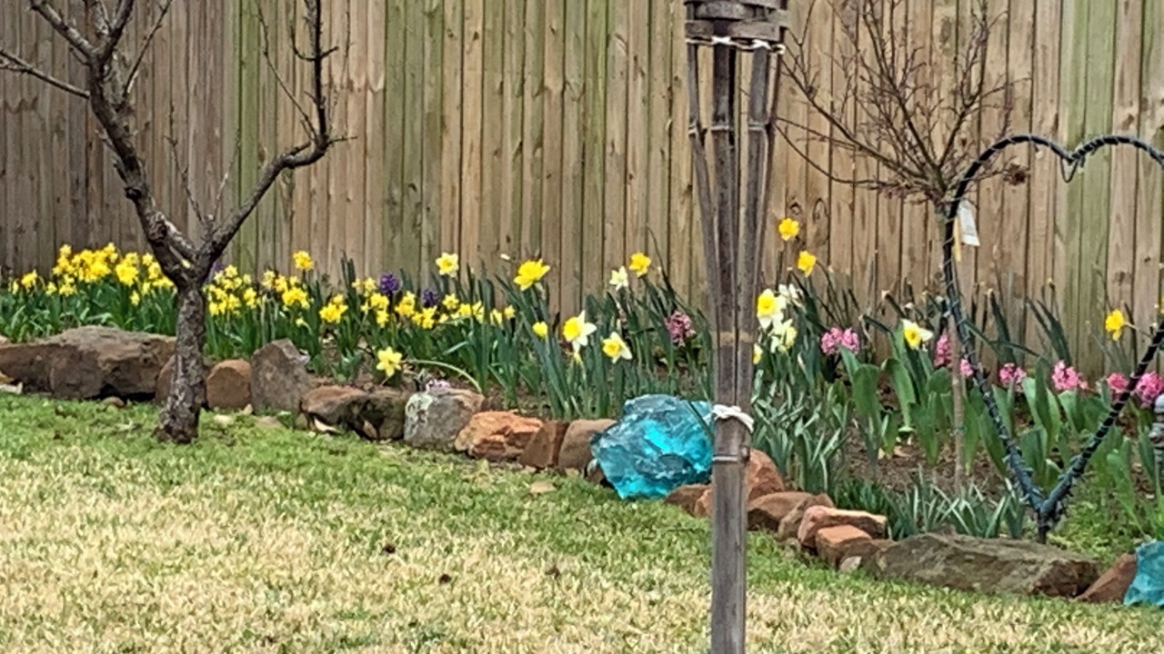 Photo of Outdoor in Southwest Carrollton