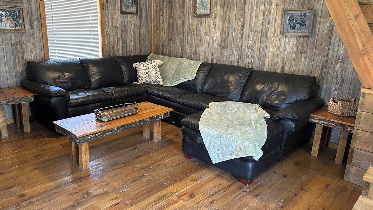Photo of Livingroom in West Mineral