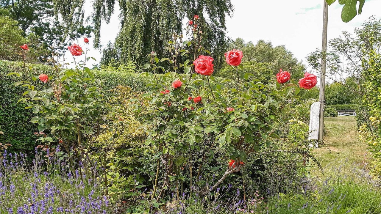 Photo of Outdoor in Samsø