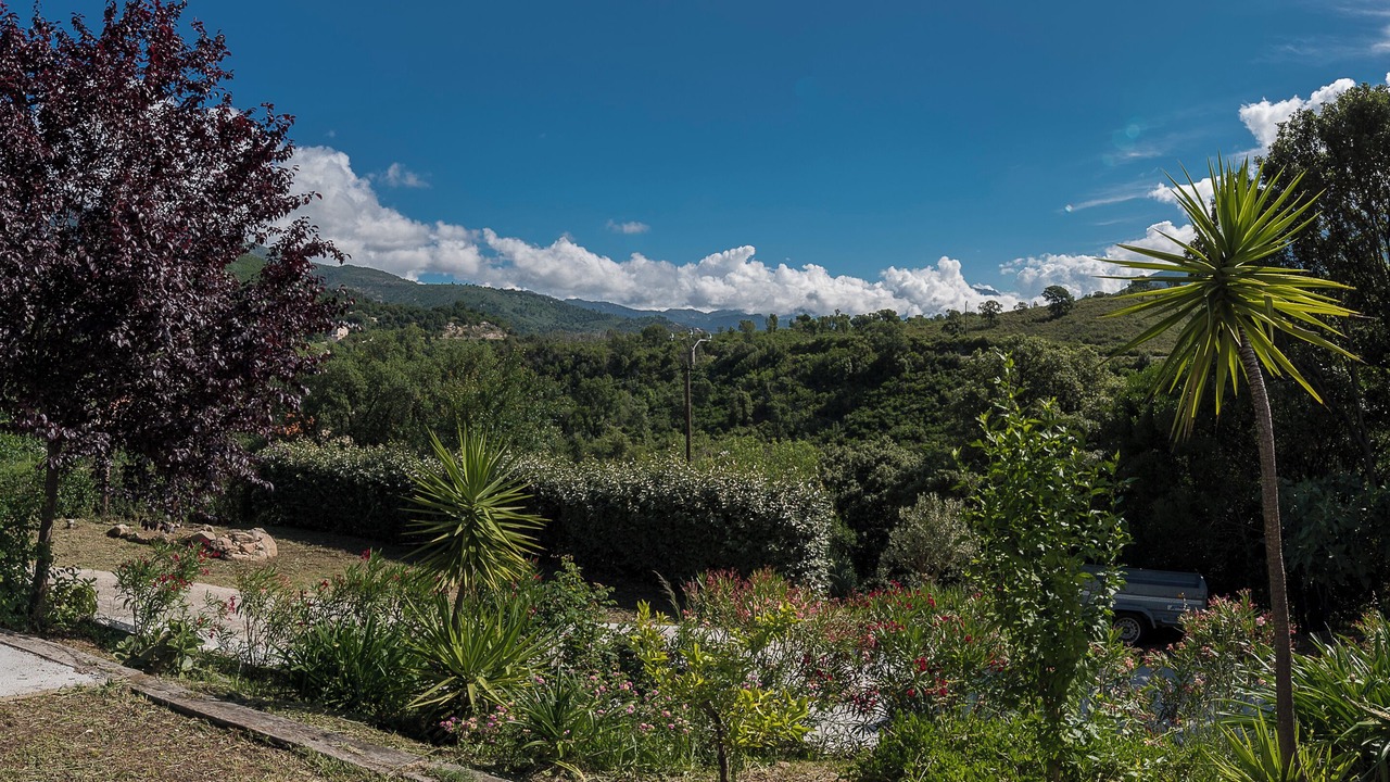 Photo of Outdoor in Peri