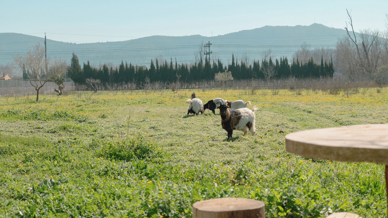 Photo of Others in Ulldecona