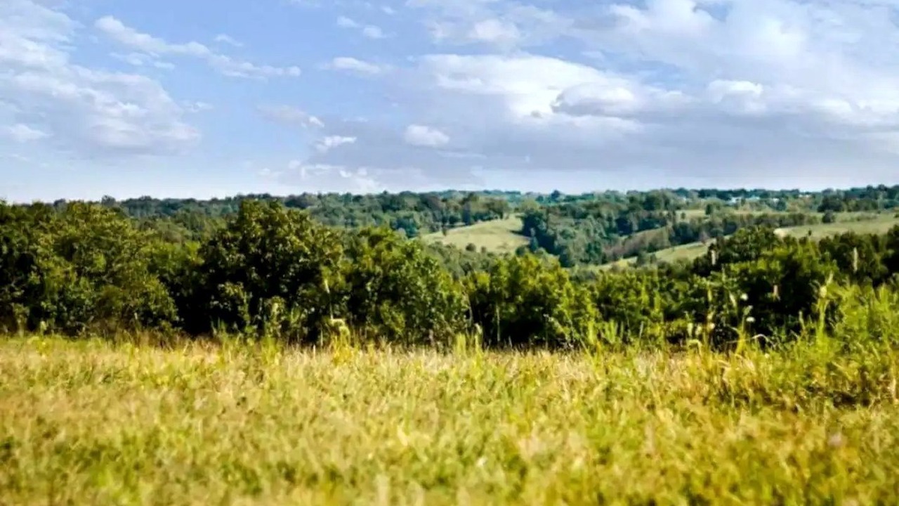 Photo of Others in Jonesville