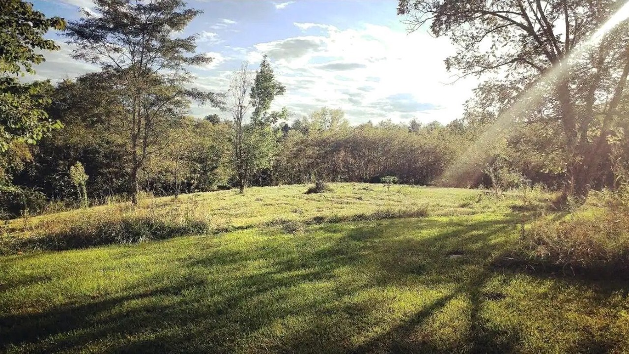 Photo of Others in Jonesville