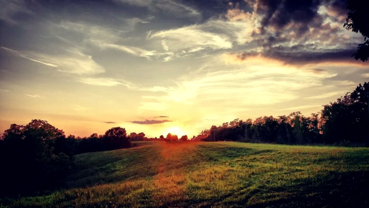 Photo of Others in Jonesville