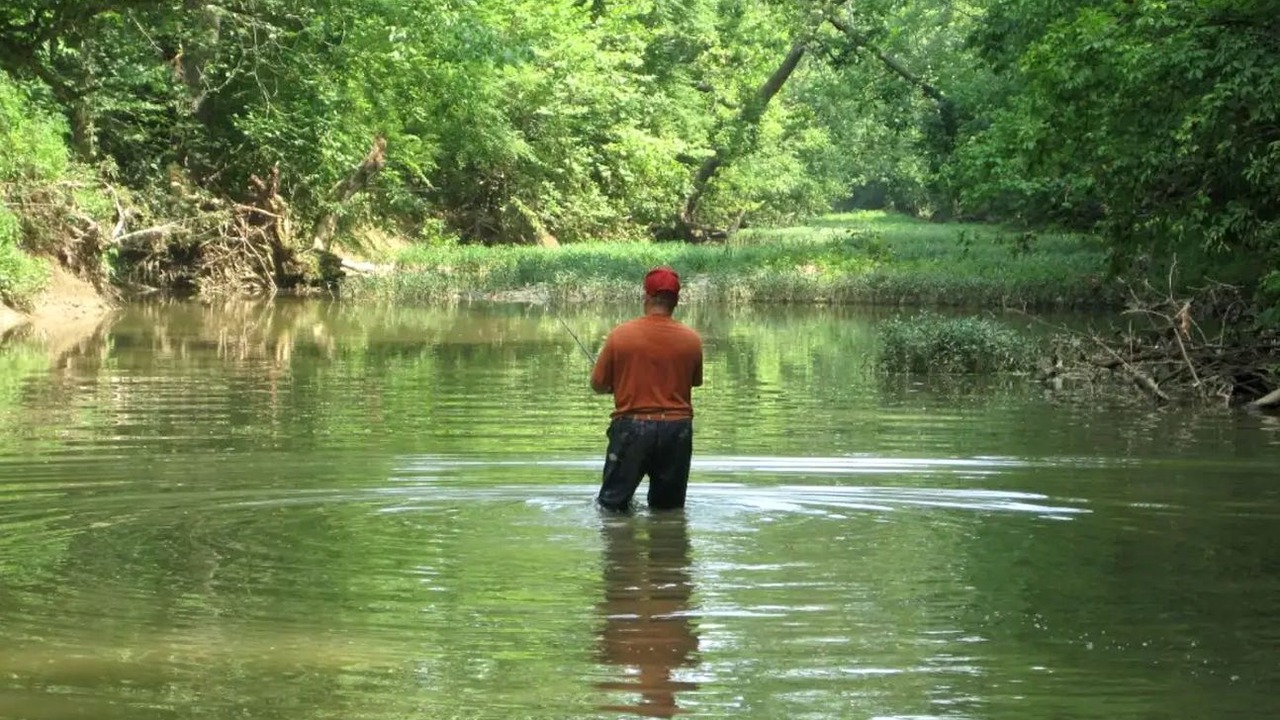Photo of Others in Jonesville