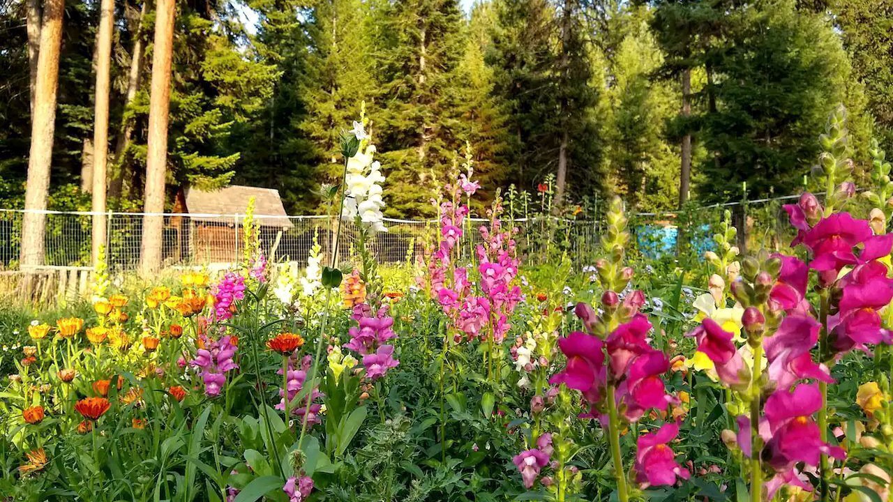 Photo of Outdoor in Alberton