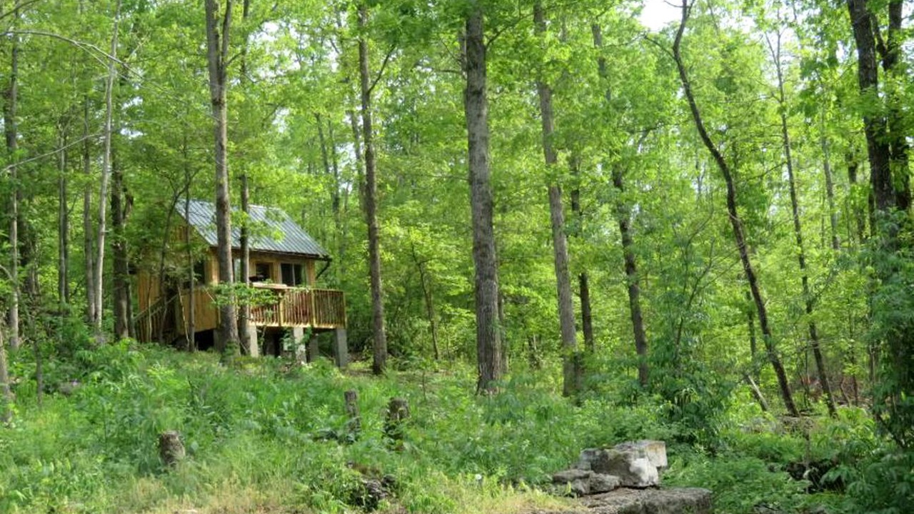 Photo of Outdoor in Hartshorn