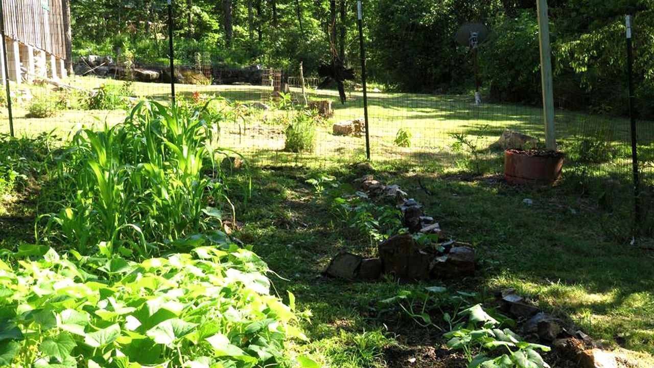 Photo of Outdoor in Hartshorn