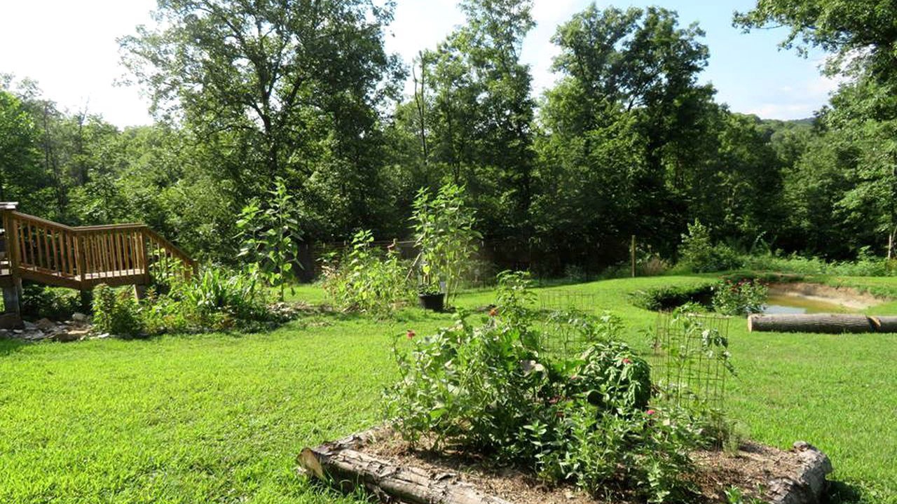 Photo of Outdoor in Hartshorn