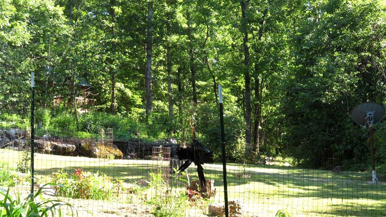 Photo of Others in Hartshorn