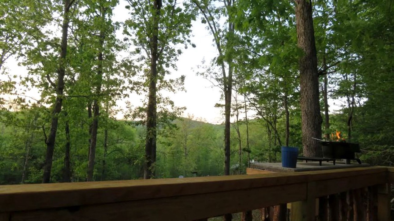 Photo of Outdoor in Hartshorn