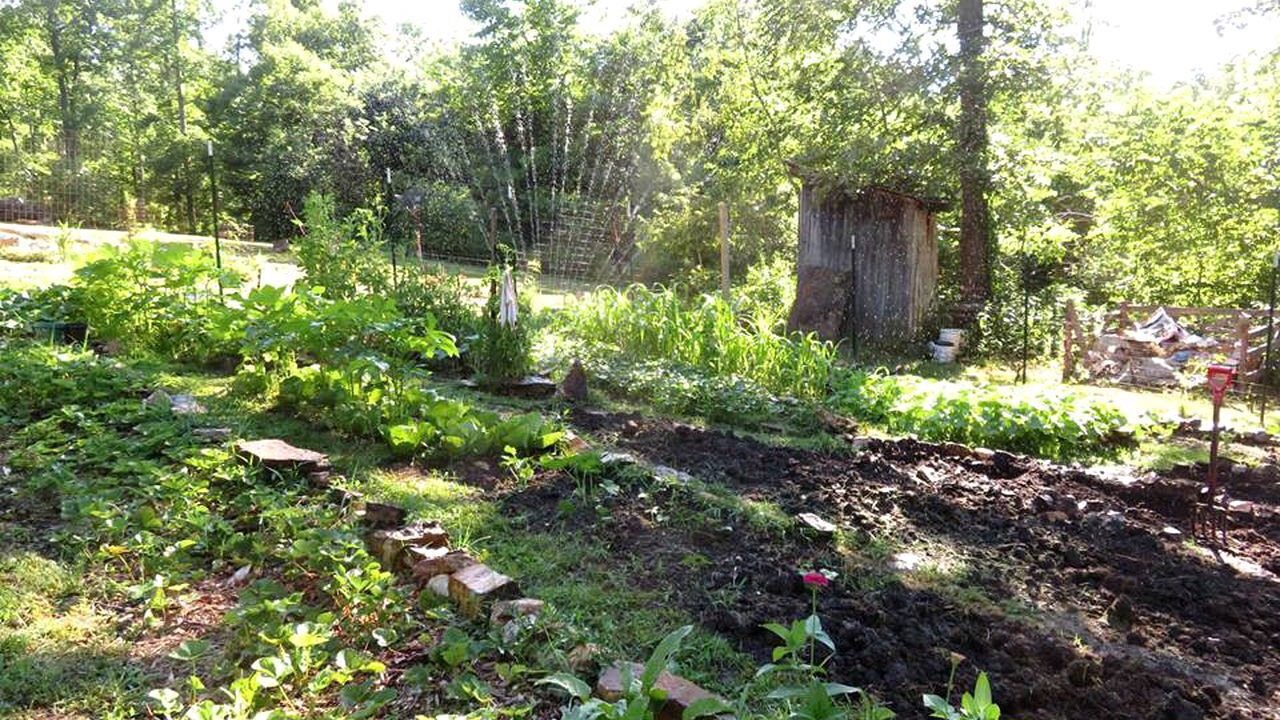 Photo of Outdoor in Hartshorn